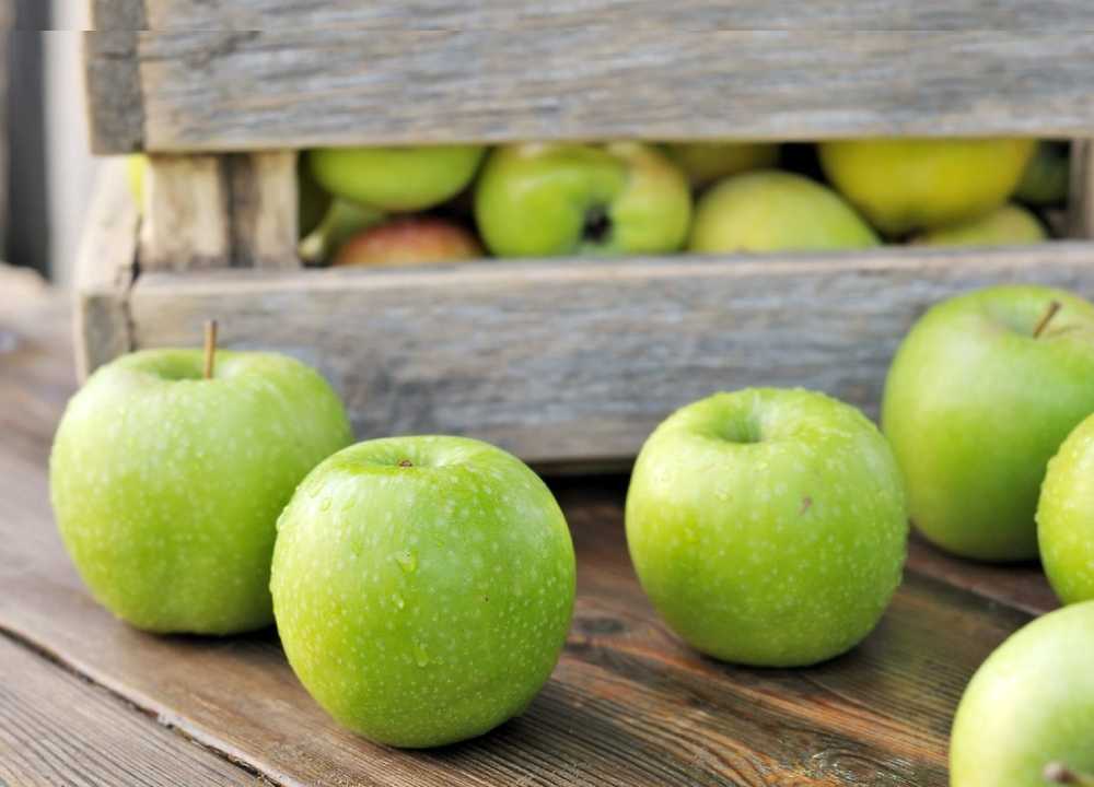 سیب صادراتی دماوند