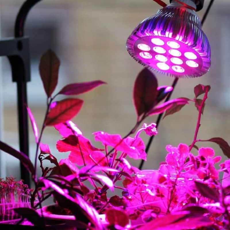لامپ رشد گیاه فول اسپکتروم