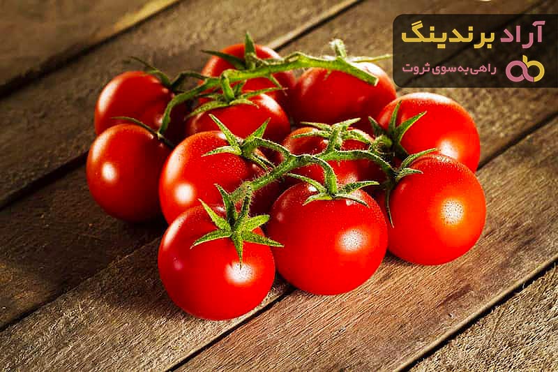 گوجه فرنگی شیراز