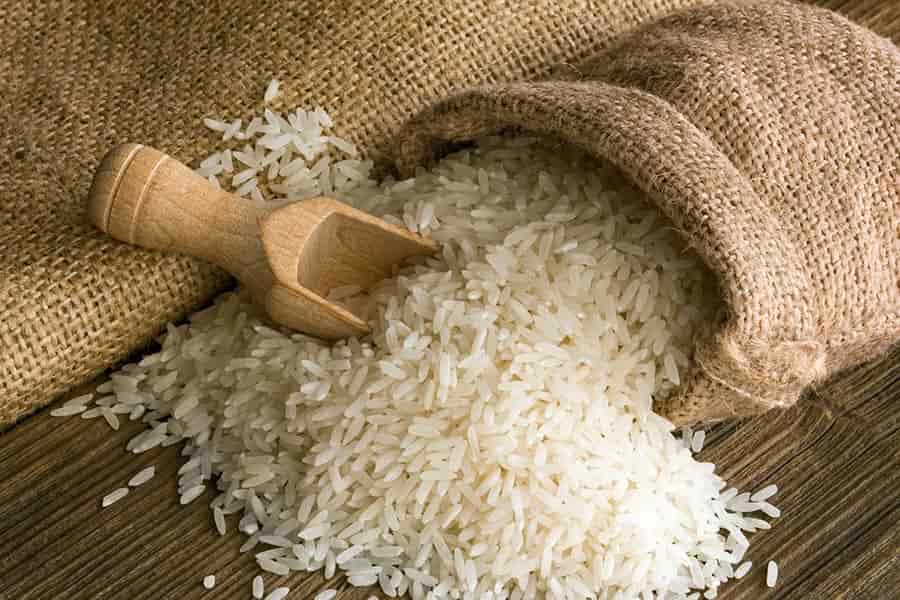 برنج طارم فجر گیلان