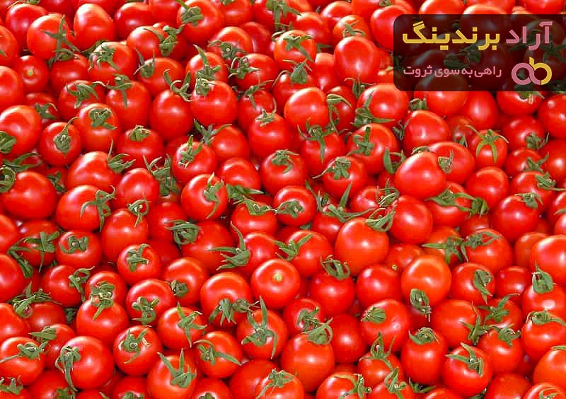 قیمت گوجه فرنگی در جهان