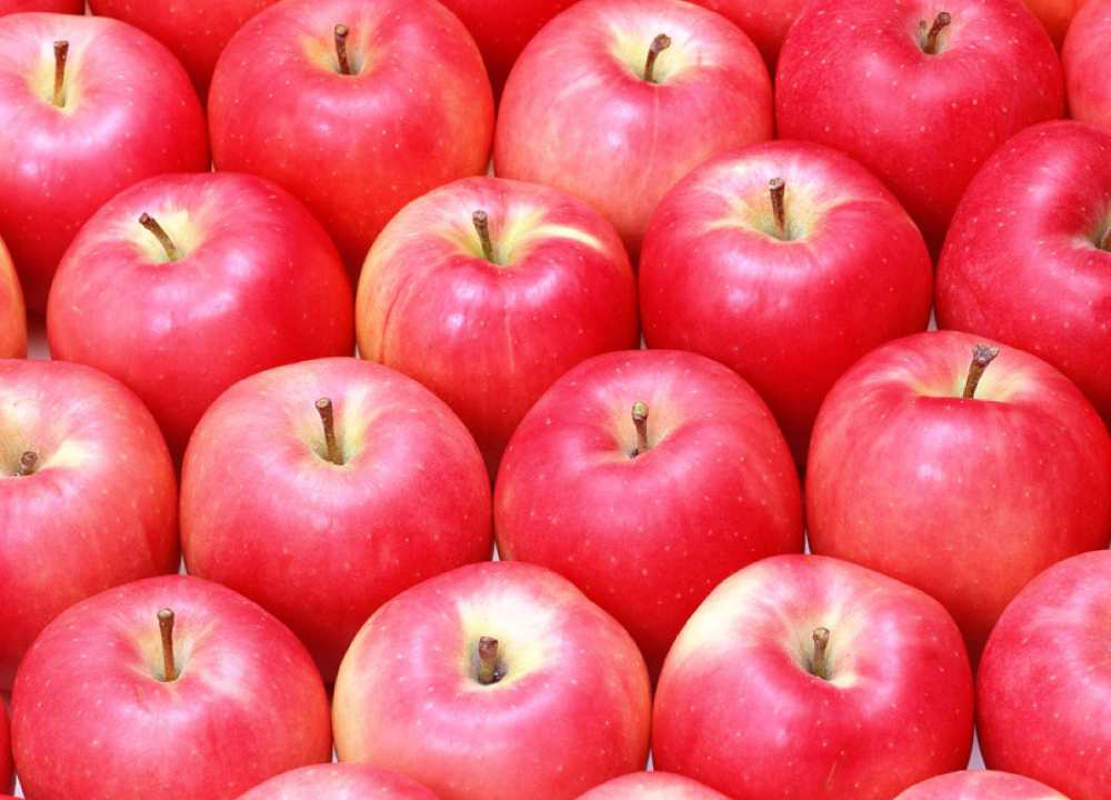 سیب درجه یک قرمز
