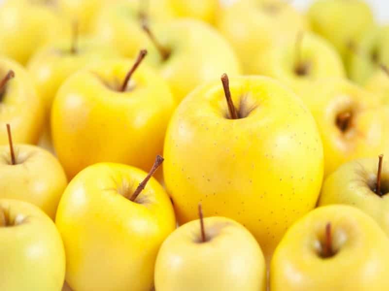 سیب زرد ماتیکی