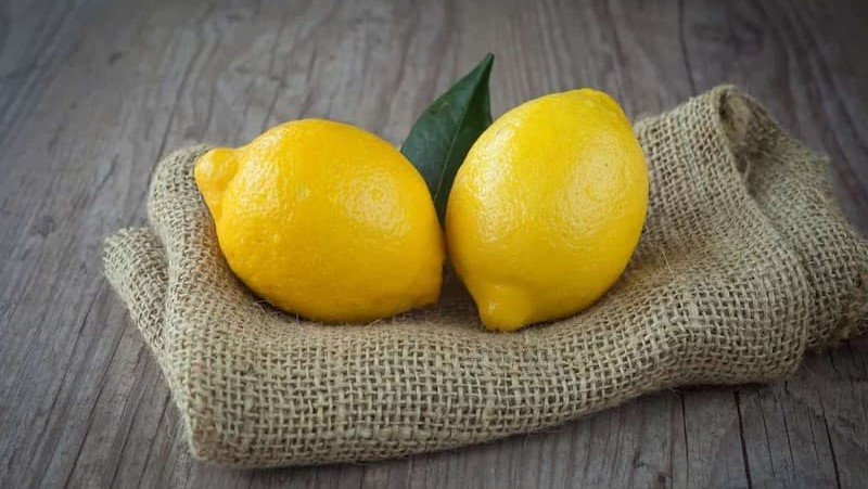 لیمو ترش سنگی در بارداری