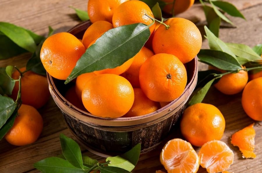 نارنگی اصلاح شده