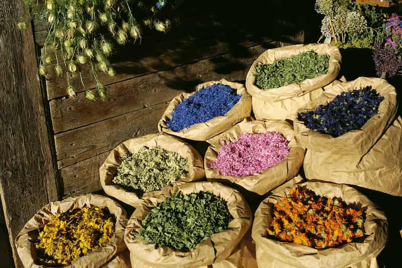 گیاهان دارویی صادراتی ایران