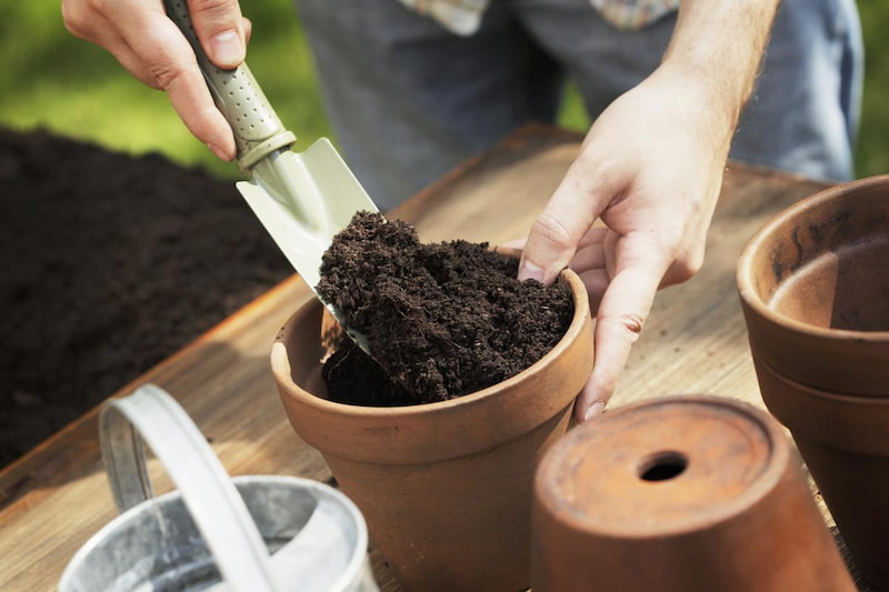 خاک ورمی کمپوست برای گیاهان آپارتمانی