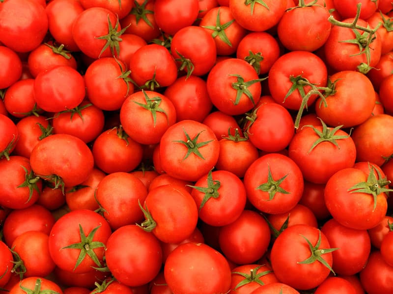قیمت گوجه فرنگی در بازار امروز