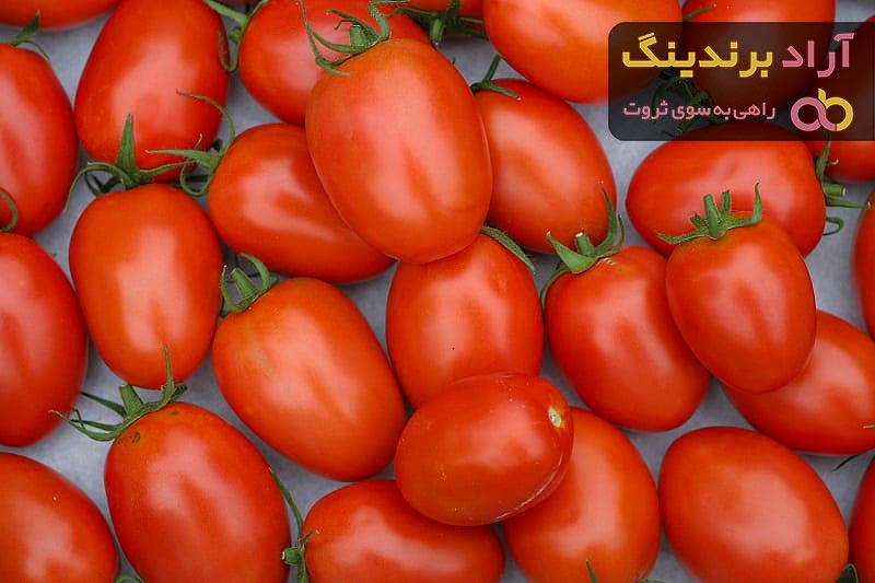 گوجه فرنگی در میدان شیراز