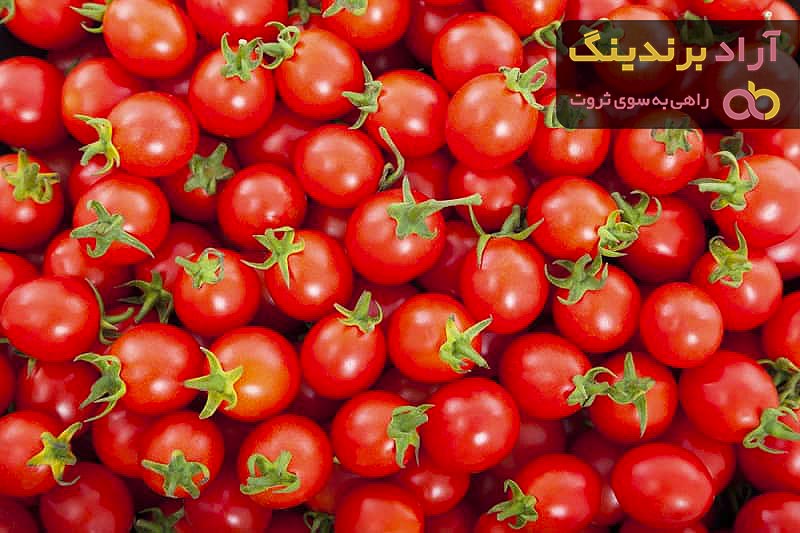 گوجه فرنگی در میدان تبریز