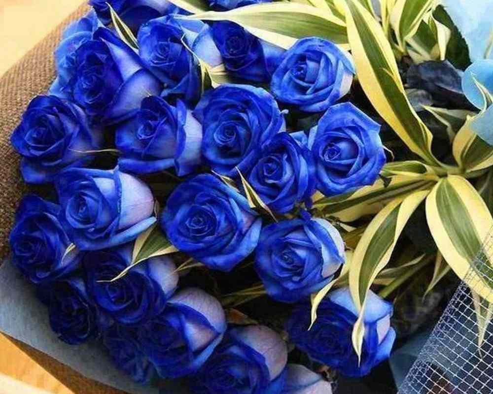  گل رز آبی مصنوعی