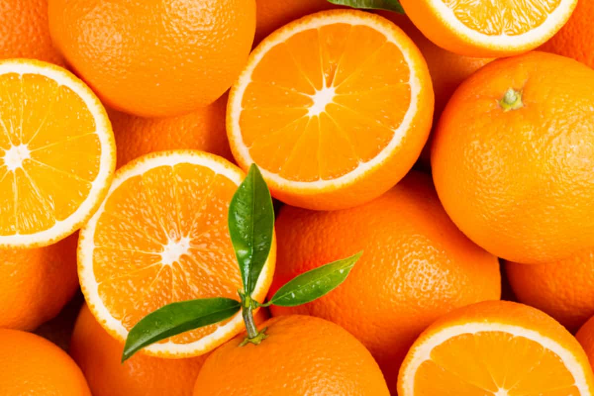 پرتقال شاپوری