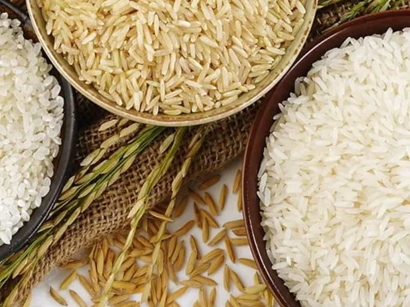 برنج فجر مازندران