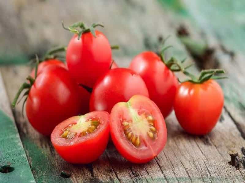 گوجه فرنگی امروز همدان