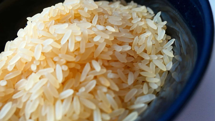 برنج تایلندی در رشت