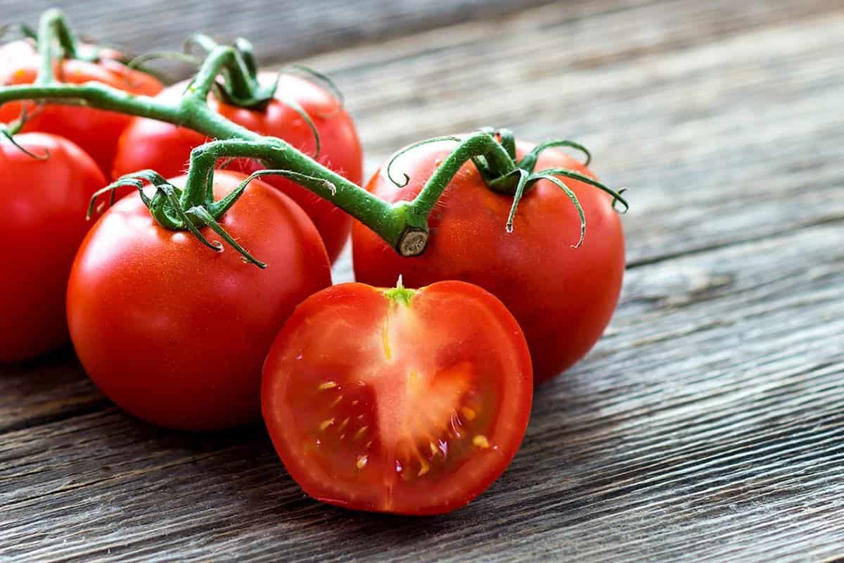 گوجه فرنگی ایران