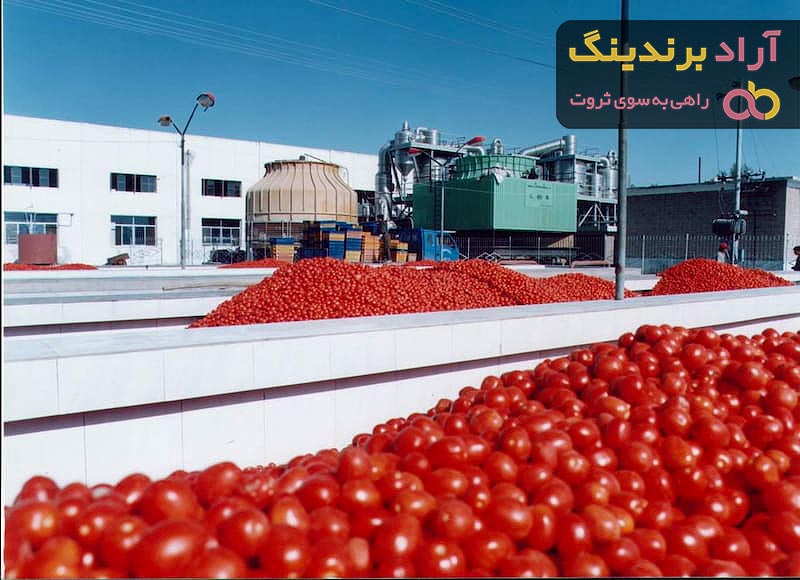 کارخانه گوجه فرنگی