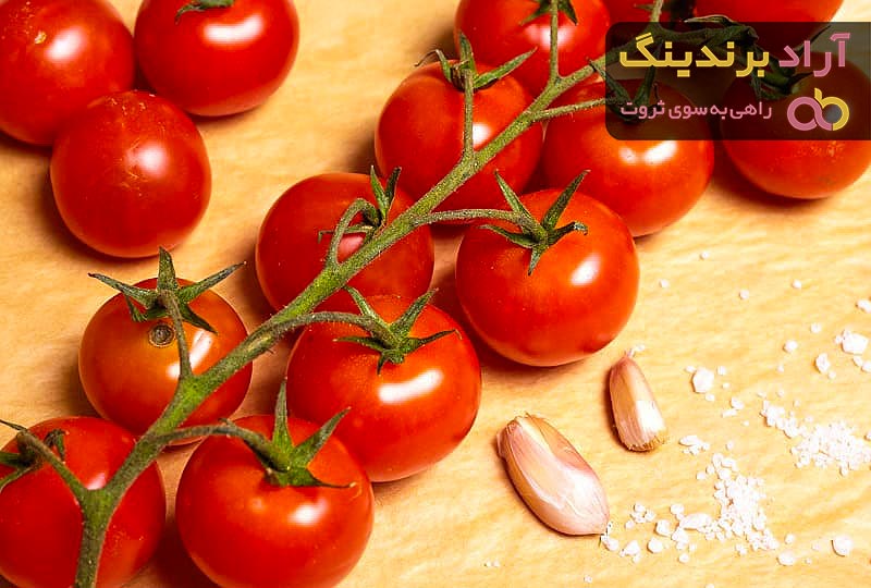 گوجه فرنگی شیراز