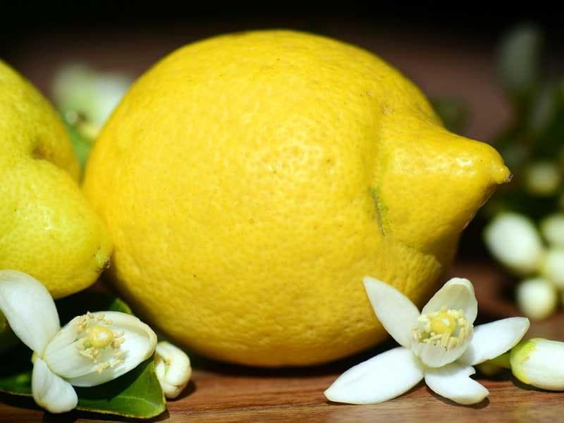 لیمو ترش ضد تهوع