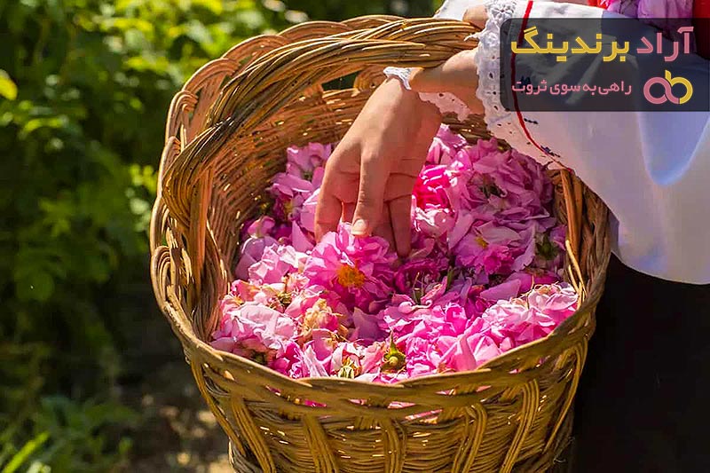 قیمت گلاب اصل خانگی