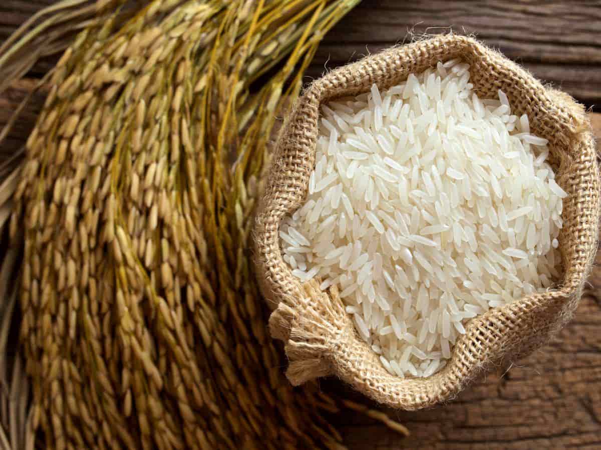 برنج ایرانی هاشمی معطر فامیلا