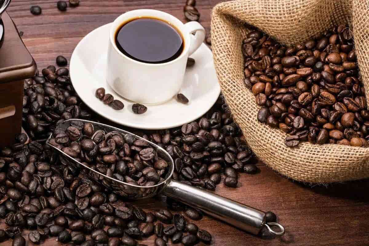 قهوه عربیکا 
