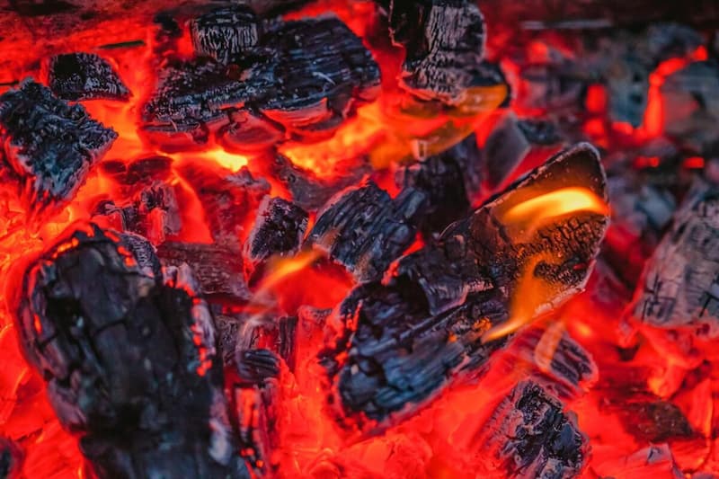 زغال چوب بامبو