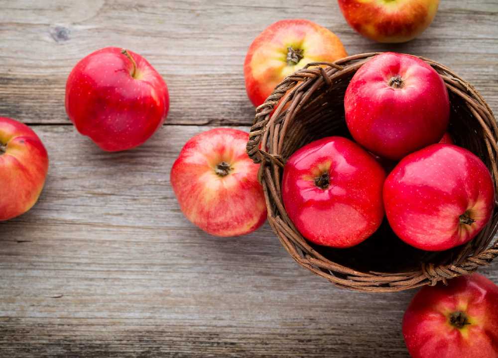 سیب درختی قرمز