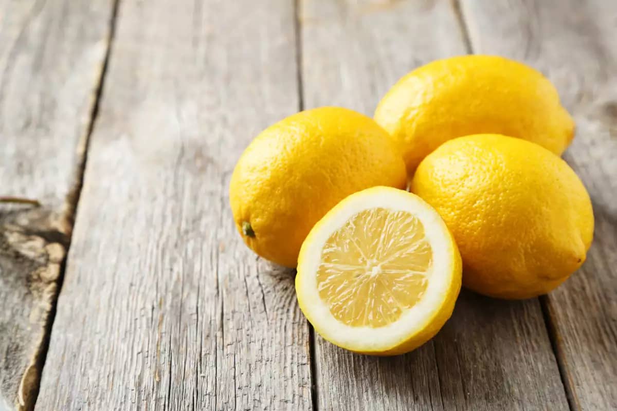 لیمو ترش زرد