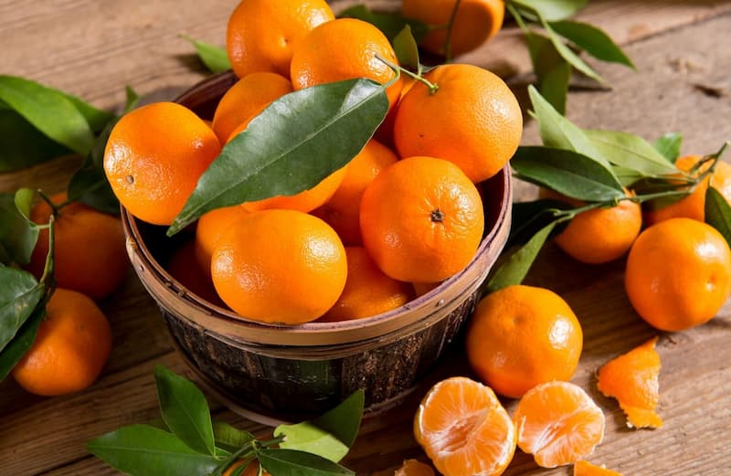 نارنگی محلی جیرفت