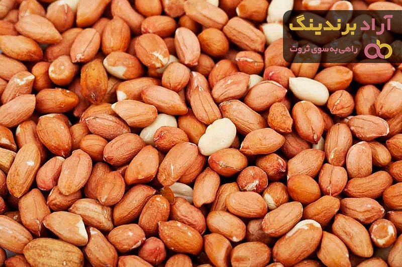 Tag 24 Groundnut Seed Price