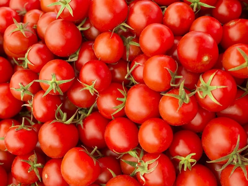 رب گوجه فرنگی مکنزی