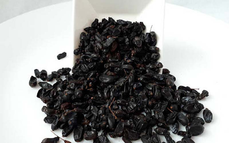 زرشک سیاه در طب سنتی