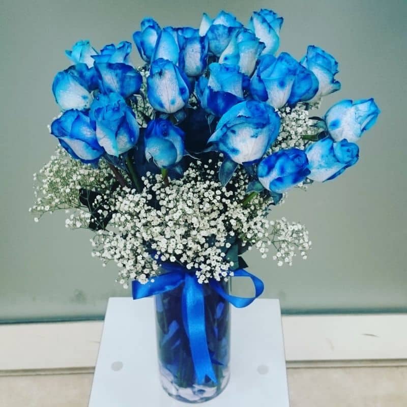 گل رز آبی طبیعی