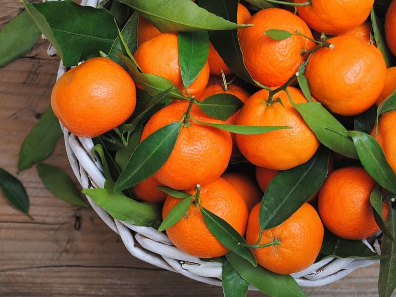 نارنگی پیوندی با پرتقال