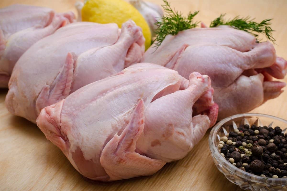 گوشت مرغ گرم یا سرد