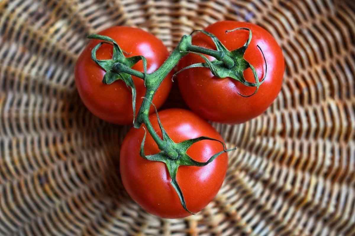 گوجه فرنگی در بارداری