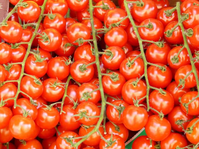قیمت گوجه فرنگی امروز در بازار