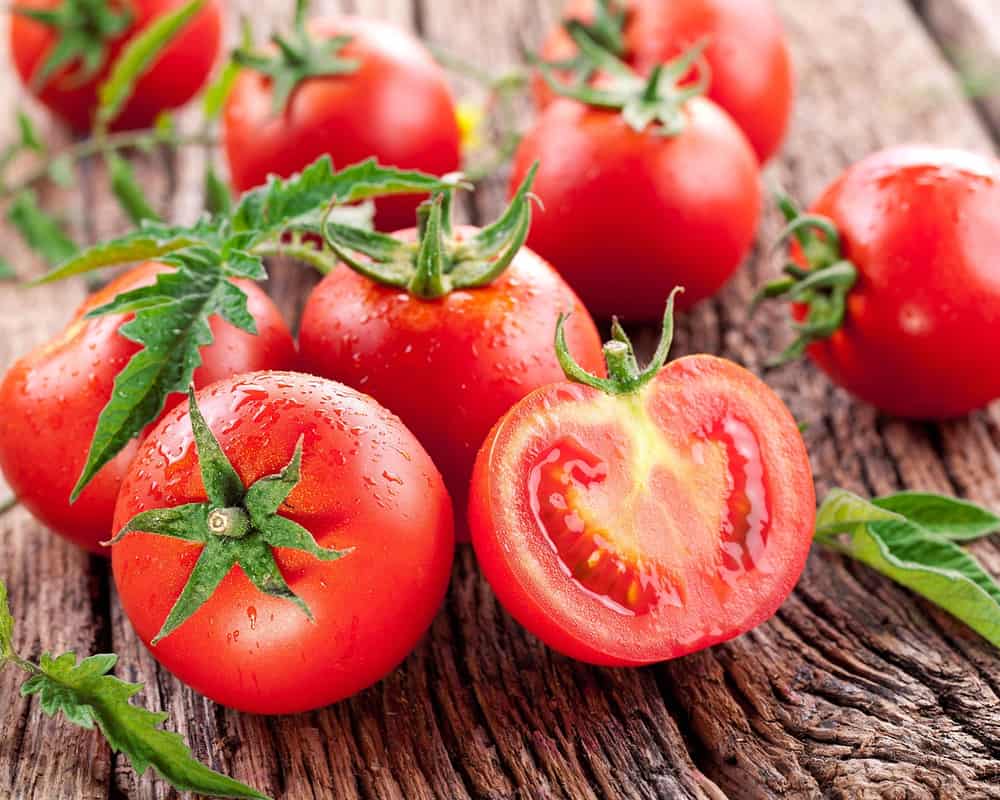 تولید گوجه فرنگی در جهان