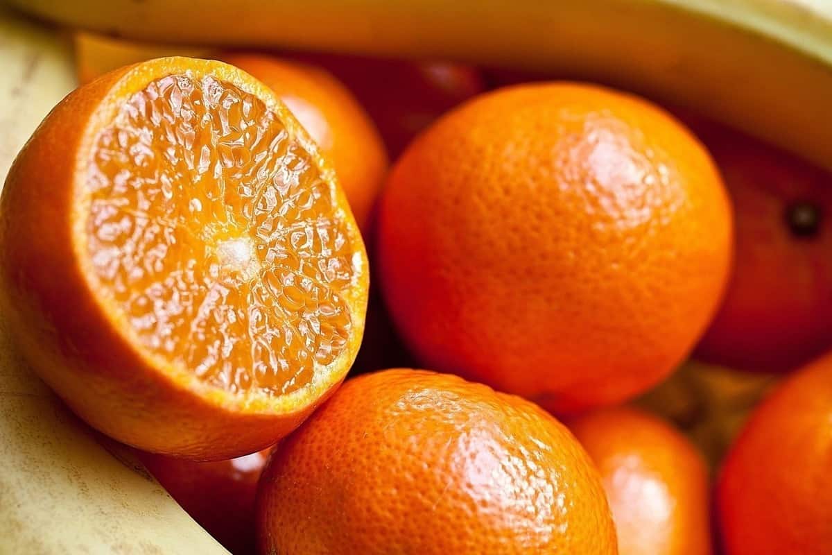 پرتقال محلی مازندران
