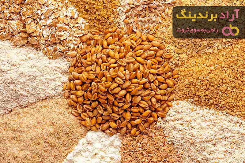 قیمت خوراک دام و طیور در شیراز