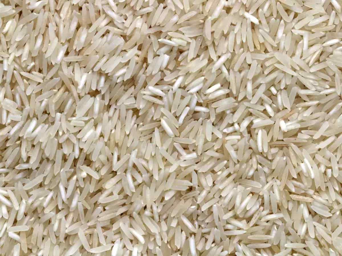 برنج طارم ممتاز معطر 10 کیلویی گلستان