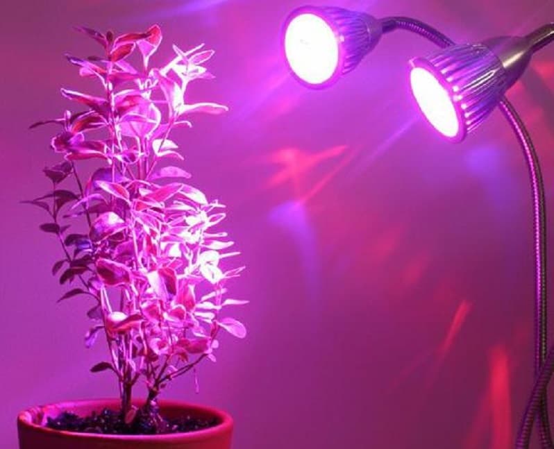 لامپ رشد گیاه ارزان