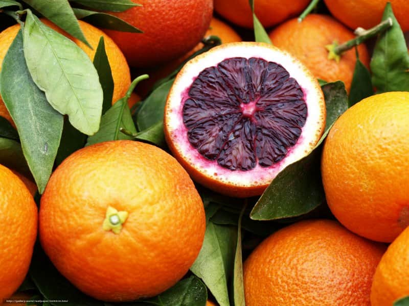 پرتقال خونی مورو