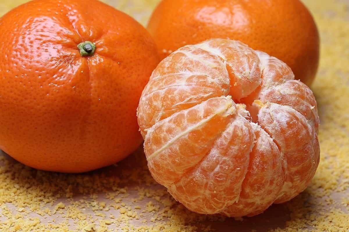 نارنگی محلی