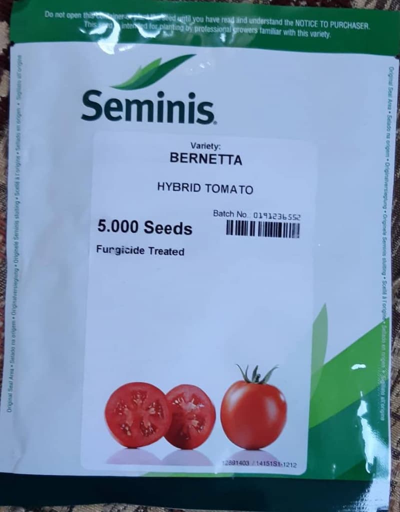 بذر گوجه بدرو