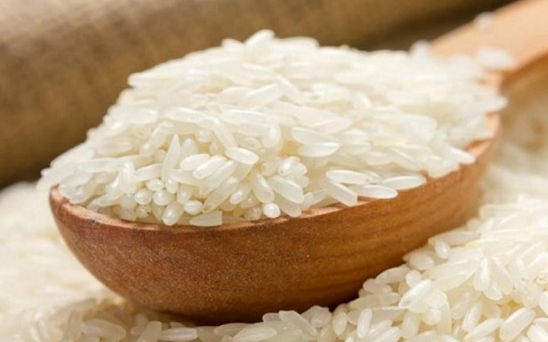 برنج کامفیروزی چیست 