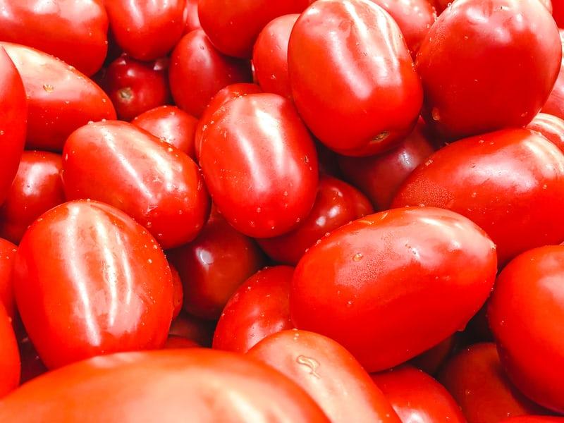 گوجه فرنگی در شیر دهی