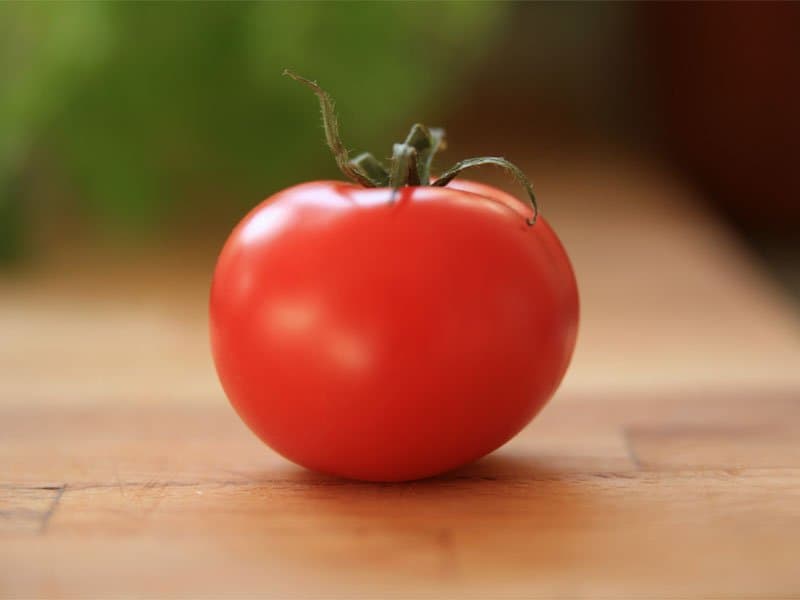 گوجه کبابی در فر