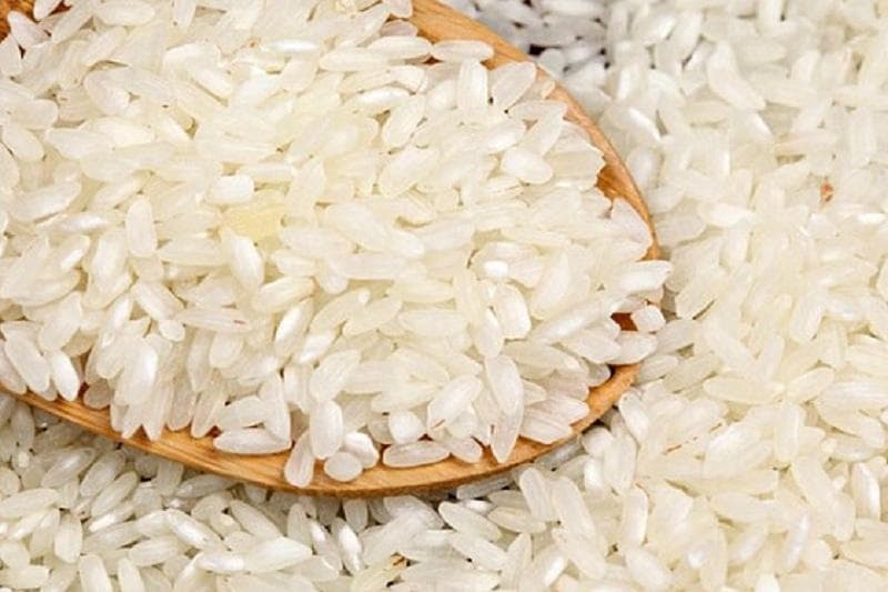 برنج فجر زاهدیان